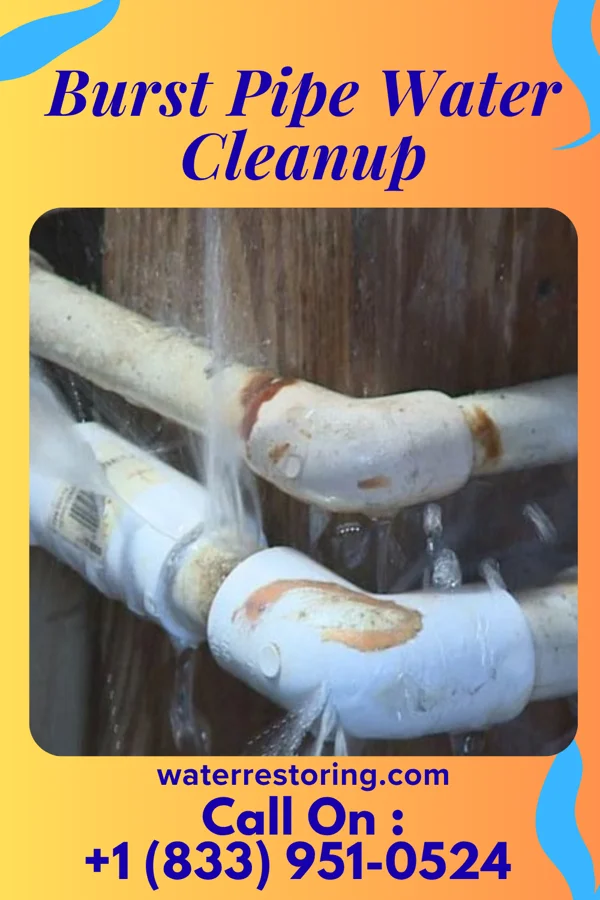 Burst Pipe Water Cleanup in East Side, PA
