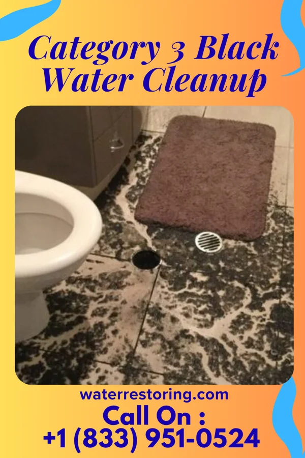 Category 3 Black Water Cleanup in East Side, PA