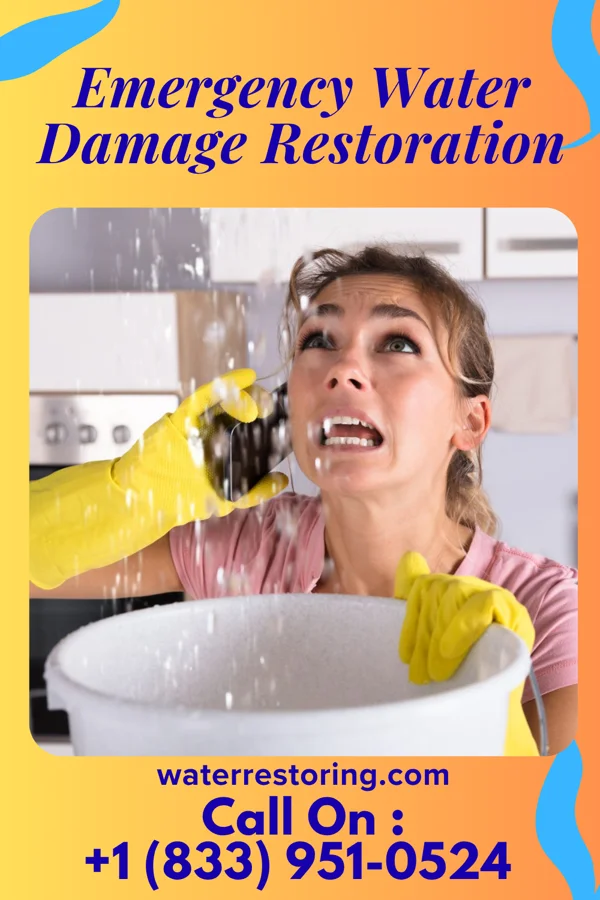 Emergency Water Damage Restoration in East Side, PA