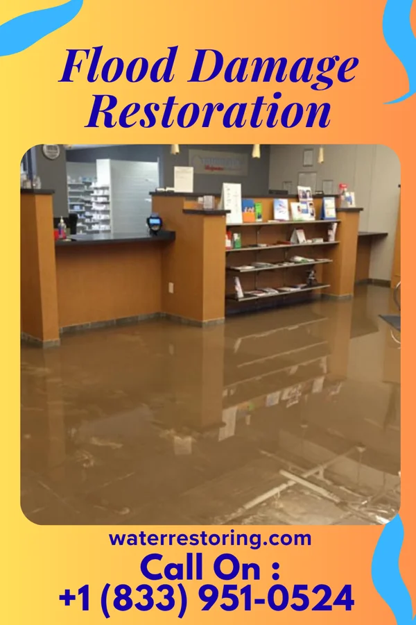 Flood Damage Restoration in East Side, PA