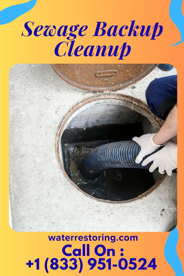 Sewage Backup Cleanup in East Side, PA