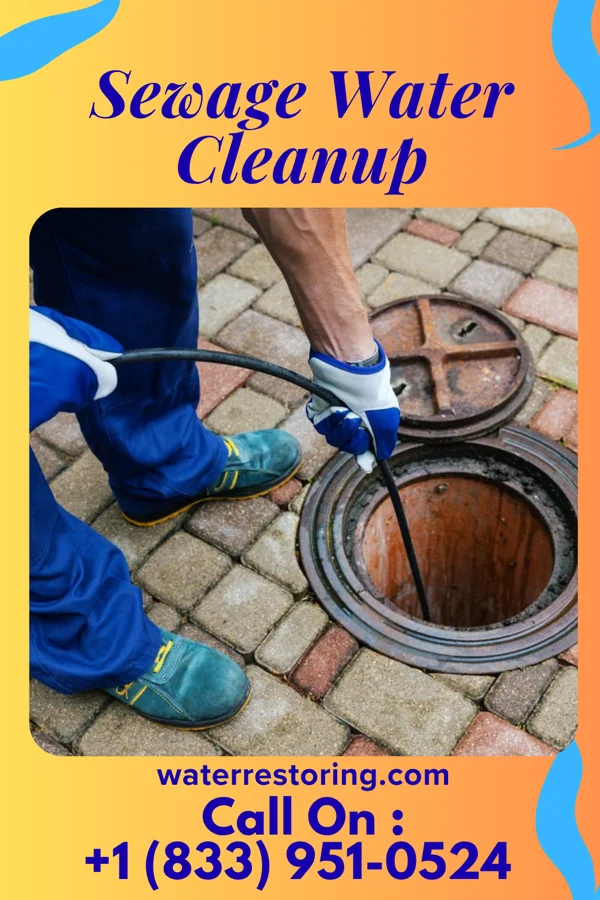 Sewage Water Cleanup in East Side, PA